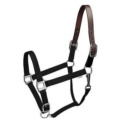 Gatsby Nylon Breakaway Halter • $24.99