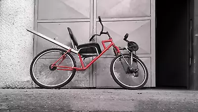Custom Bicycle Scorpio • $1300