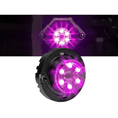 $39.99 • Buy LAMPHUS SnakeEye-III LED Hideaway Strobe Light SAE Class1 IP67 Purple
