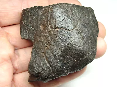 Meteorite - Oriented - Top Quality - Rare Orientation - SLS-1985 - 141.0g Superb • $70.95