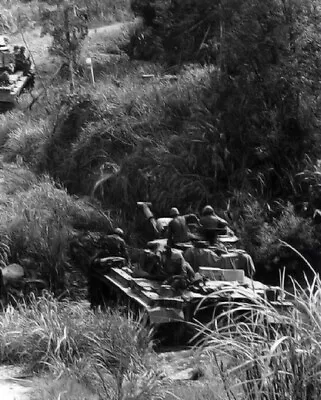U.S. Marines & Tanks In Action Near Hill 479 And 500 8x10 Vietnam War Photo 799 • $7.43