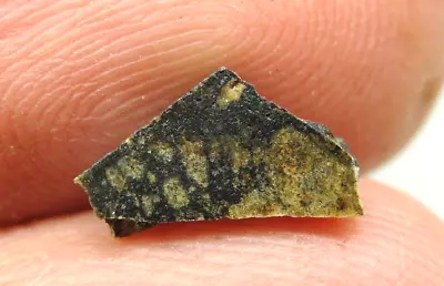 NWA 8558 Achondrite Eucrite-mmict Meteorite - G585-0237 - 0.25g COA - Part Slice • $0.99