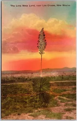 The Lone Mesa Land Near Las Cruces New Mexico NM Plants Hand-Colored Postcard • $9.88