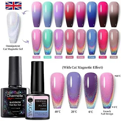 £5.95 • Buy  Holographic Thermal Cat Eye Nail Gel Polish Gradient Colours Omnipotent Varnish
