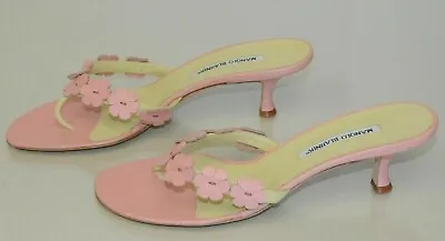 $925 New Manolo Blahnik Petta Thong Flowers Pink Kitten Mules Sandals Shoes 40.5 • $425