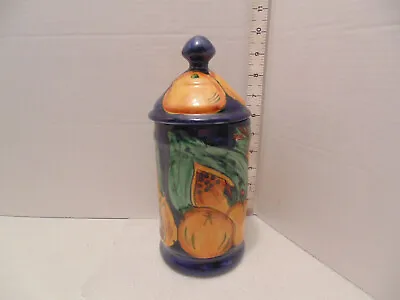 Mexican Talavera Pottery Kitchen Canister Cookie Jar Cobalt-Vibrant Colors W Lid • $18.99