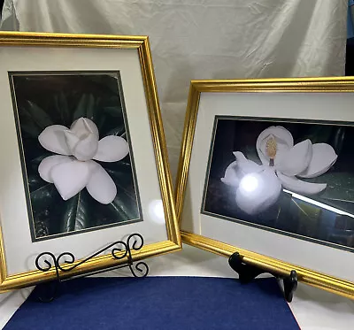 Blooming North Carolina Mountain Laurel Photography Art Prints Set Of 2 Framed • $55.99