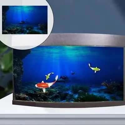 Aquarium Background Poster Backdrop Wallpaper Reptile Box Fish Tank Decor 3D • $35.23