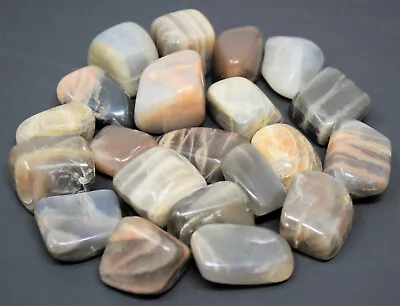 1 Lb Bulk Lot BLACK Moonstone Tumbled Stone Crystal Healing Reiki Tumble 16 Oz • $38.95