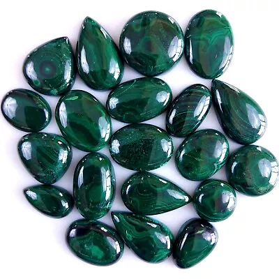 20Pcs 403Cts Malachite Back Unpolished Cabochon Gemstone Lot 18x18 15x7 #9334 • $13.59