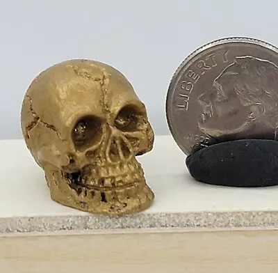 MINIATURE Dollhouse 1:12 Scale Skull Gothic Halloween Oddity Witch Spooky Gold • $6.99