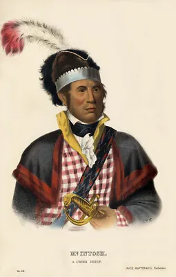 McKenney Hall Indian McINTOSH A Creek Chief 17x22 Print #38 LARGE • $24.99