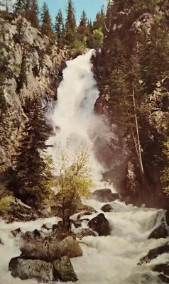 Fish Creek Falls Steamboat Springs CO Postcard • $7