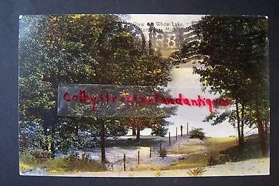 View Of WHITE LAKE Montague Michigan Vintage Postcard 1908 • $5