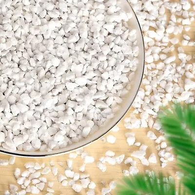 Premium Quality Medium Coarse Perlite For Seed Starting & Nursery Plants • $18.97