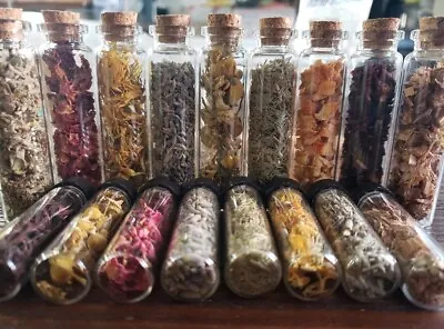 $6 • Buy Wiccan Spell Crafting Dried Flower Botanical Herb Potion U CHOOSE  Glass Bottle