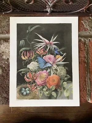 Marjolein Bastin Nature's Sketchbook Print ~ Ready To Frame ~ Floral Butterfly • $11