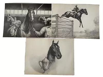 3 CW Anderson Prints Book Page Horse Heatherbloom Blocakde Thoroughbreds Vtg • $19.99