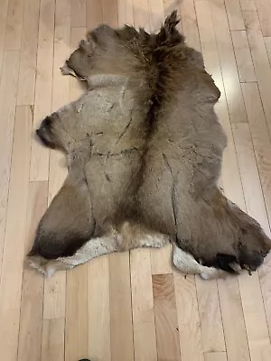 Tanned Elk Hide Skin ~33  X44  Area Rug Wall Hanging Fly Tying • $150