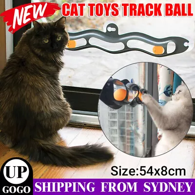 Interactive Track Ball Pet Toy Cat Window Suction Cup Funny Cat Toys Track Ball • $10.45