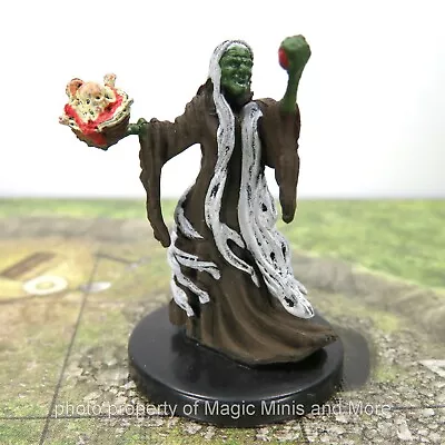 Fangs And Talons ~ GREEN HAG #37 Icons Of The Realms D&D Rare Miniature Witch • $7.98