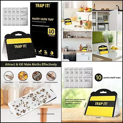 10 Pack TRAP IT! Pantry Moth Traps Sticky Glue Trap Indoor Attract Meal Moths • $14.83