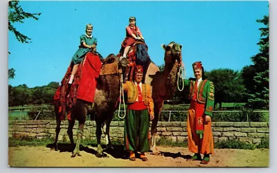 Postcard WI Camel Rides In Vilas Park Madison Wisconsin UNP • $5.95