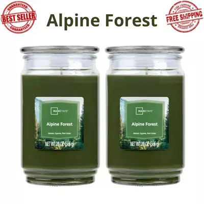 (PACK OF 2) Alpine Forest Scented Single-Wick Glass Jar Candle 20 Oz • $16.99