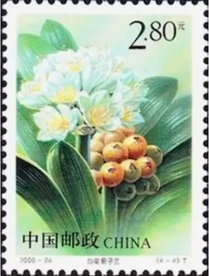 China PRC #Mi3201 MNH 2000 White Kaffir Lily [3073] • £3.74