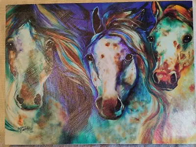 3 Wild Appaloosa Horses Canvas Wall Art Print In Box Excellent Condition • $15