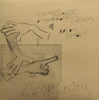 Edward Sharpe & The Magnetic Zeros / Aaron Embry - Community- VINYL RECORD NEW • £24.66