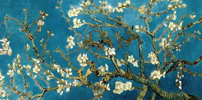 Van Gogh - Almond Blossom In Bloom Oil Painting Hand Painted On Canvas Wall Art • $209