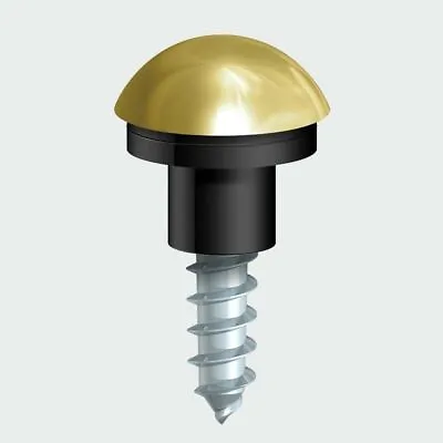 £21.99 • Buy 3/4 Inch / 19mm MIRROR SCREWS WITH DOME CAPS POLISHED BRASS OR CHROME FINISH CAP