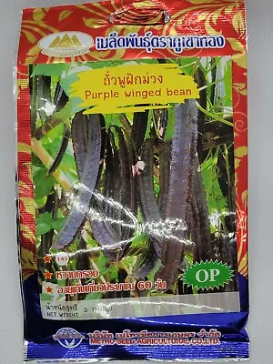 Purple Winged Bean Seeds GM • $7.35