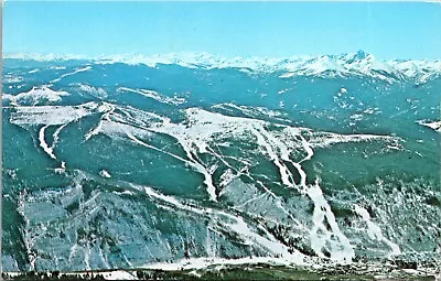 $8.99 • Buy Vail Colorado CO Ski Area North Side Vail Mountain Postcard