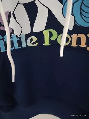 My Little Pony Established In '83 Hoodie • $40