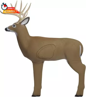 Buck 3D Deer Archery Target • $236.75