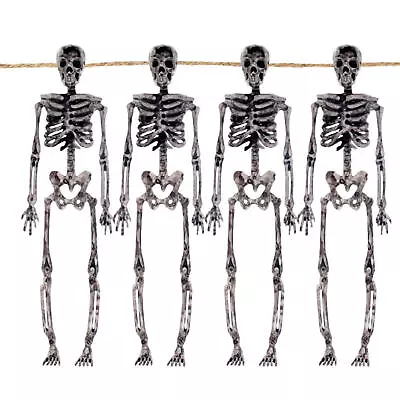 Mini Skeleton Halloween Decor Realistic Spooky Scary Skeletons 7 Inch Full Body  • $8.33