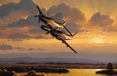  Twins  P/F-82 Twin Fuselage P-51D Mustang - Stan Stokes Aviation Art Print • $20