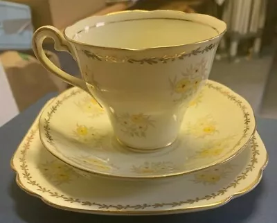 Salisbury Bone China Tea Cup Saucer And Cake Plate 1930's • $35