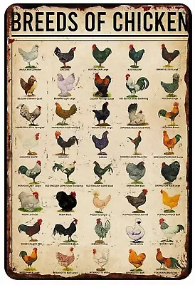 Breed Of Chickens  All Metal Tin Sign  8 X 12 Roosters Clucks • $28.95