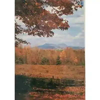 Moby Dick Author Autumn Mount Greylock Pittsfield MA Postcard • $7