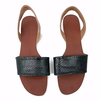 Zara Basic Collection Black Snakeskin Sandals - 40 • $15