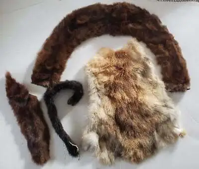 Assorted Animal Pelts Furs Skin Rabbit Collar Made In Spain Mink Beaver • $40.43