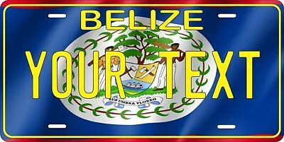 Belize Flag 2 License Plate Personalized Car Auto Bike Motorcycle Custom Tag • $11.35