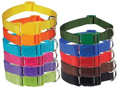 $4.19 • Buy Nylon Dog Collar Bright & Basic Solid Color Pet 11 COLORS 4SIZES Puppy Zack Zoey