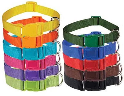 Nylon Dog Collar Bright & Basic Solid Color Pet 11 COLORS 4SIZES Puppy Zack Zoey • $4.19