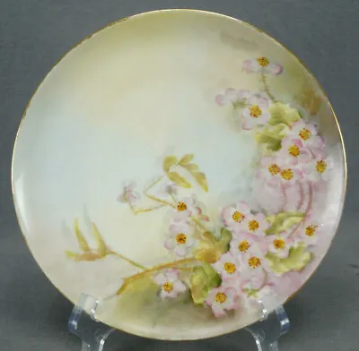 M&Z Austria Signed LG Hand Painted Wild Pink Roses Gold 8 Inch Plate • $20