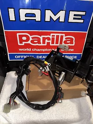 IAME X30 Parilla Complete Ignition Electronics Kit.  Light Use & Clean Prior Gen • $175