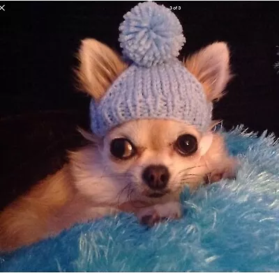 £4.99 • Buy Chihuahua Pompom Hat + Free Postage